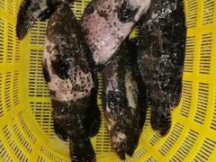 -华威西营里农产品批发市场