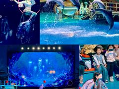 -海合安武汉极地海洋公园