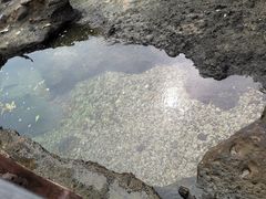 -涠洲岛火山国家地质公园