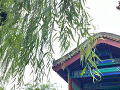 -济南大明湖景区
