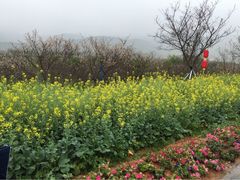 iphone_upload_pic-天适樱花悠乐园