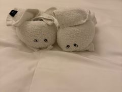 -三亚亚龙湾雅高铂尔曼别墅度假酒店