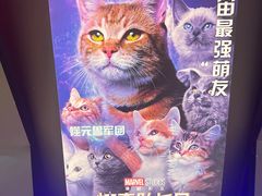 -英皇电影城(英皇集团中心IMAX店)