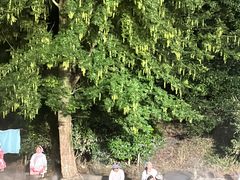 -常德桃花源景区