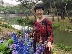 -人民公园(罗湖区)