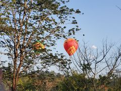 -中国科学院西双版纳热带植物园