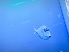-石家庄极地海洋世界