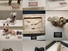 -中国农业博物馆