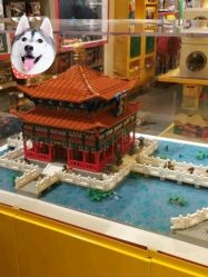 -KIDSLAND(北京蓝色港湾店)