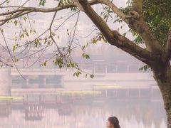 -重庆彩云湖湿地公园