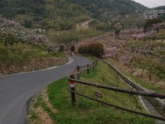 -莫干山郡安里度假酒店-桃尖中餐厅