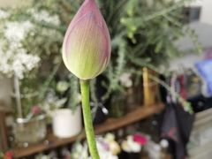 -亭亭鲜花店(中山北路店)