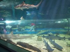 -福州罗源湾海洋世界旅游区