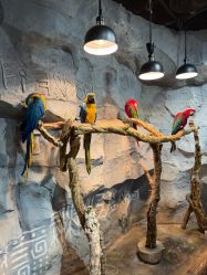 -Zoolung Zoolung动物主题公园(海信广场店)