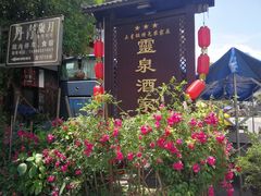 -雅安上里古镇