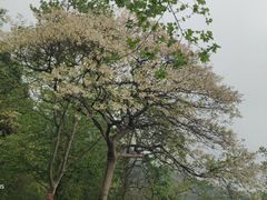 -金堂县云顶石城风景区