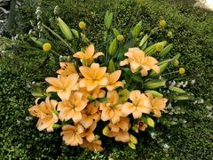 -上海鲜花港