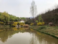 -白鹿原影视城