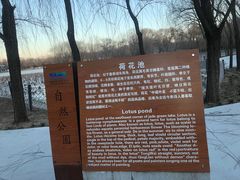 -廊坊市自然公园