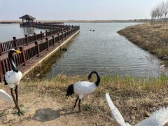 -南大港湿地风景区