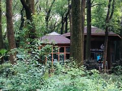 -同里国家湿地公园