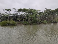 -东寨港红树林旅游区