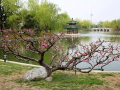 -钓鱼台国宾馆
