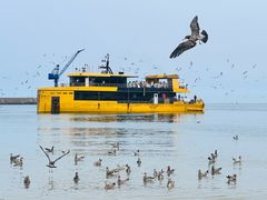 -海驴岛(荣成市)