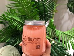 -藏猫猫咖啡主题馆(中央大道店)