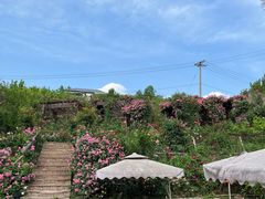 -玫瑰庄园·自助烧烤·烤全羊·团建拓展(龙泉山店)