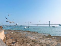 -星海广场