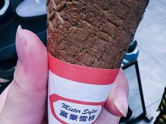 -富豪雪糕车流动点(尖沙咀)