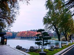 -东湖听涛景区