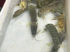 -拉威海鲜市场