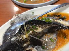 -蓝湾碧波·老字号·疍家非遗海上餐厅