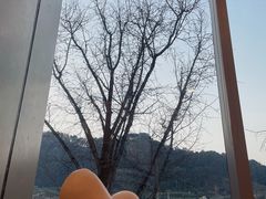 -重庆南山海昌汤都