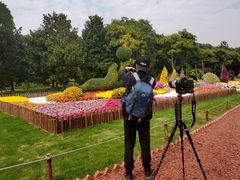 -共青国家森林公园-售票处