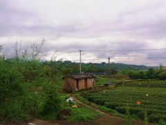 -杨家堂村