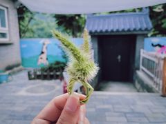 -灵溪风景区