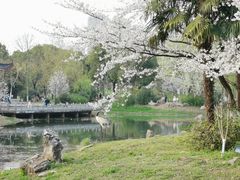 -堤角公园
