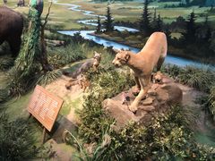 -陕西自然博物馆