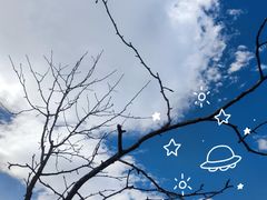 -名花谷生态庄园