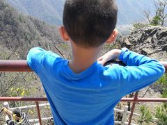 -王顺山国家森林公园