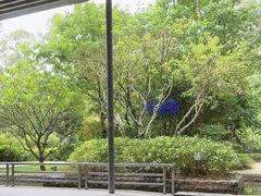 -南宁荔园维景国际酒店·荔园中餐厅