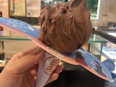 意大利冰激凌8选1-野人先生现做冰淇淋(西安赛格店)