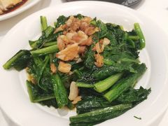 猪油渣捞油麦菜苦麦菜-天喜酒楼饭市·茶市(同德皇宫店)