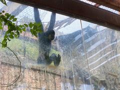 -南昌动物园