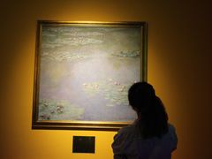 -印象莫奈时光映迹艺术展