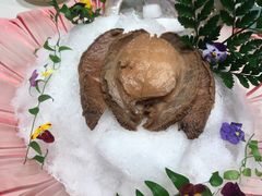 -蝶园·装修中(BFC外滩金融中心店)