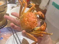 -初色海鲜自助(万丰路店)